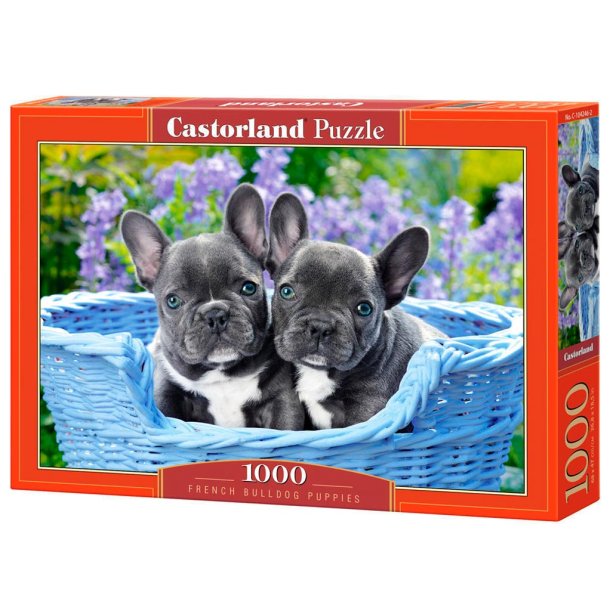 Castorland puslespil - French Bulldog Puppies - 1000 brikker