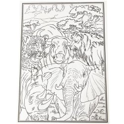 Malebog - Africas Big Five