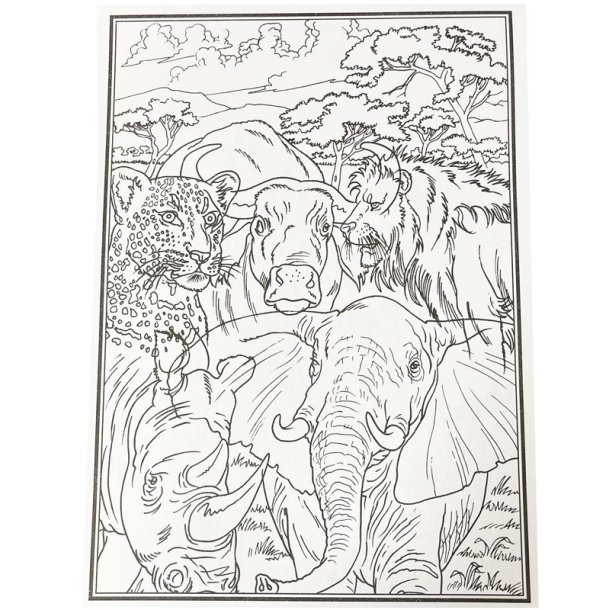 Malebog - Africas Big Five