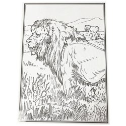 Malebog - Africas Big Five