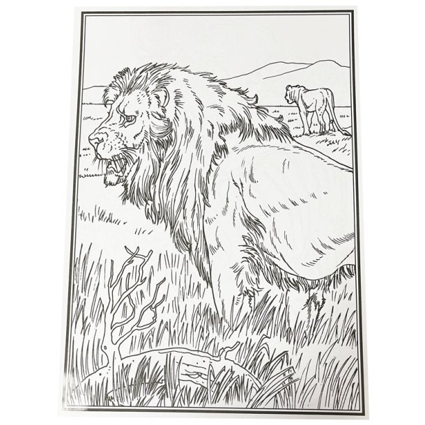 Malebog - Africas Big Five