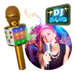 Guld karaoke mikrofon med lys