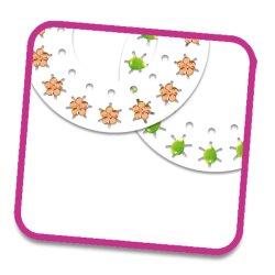 4-Girlz hrpyntest med kamme