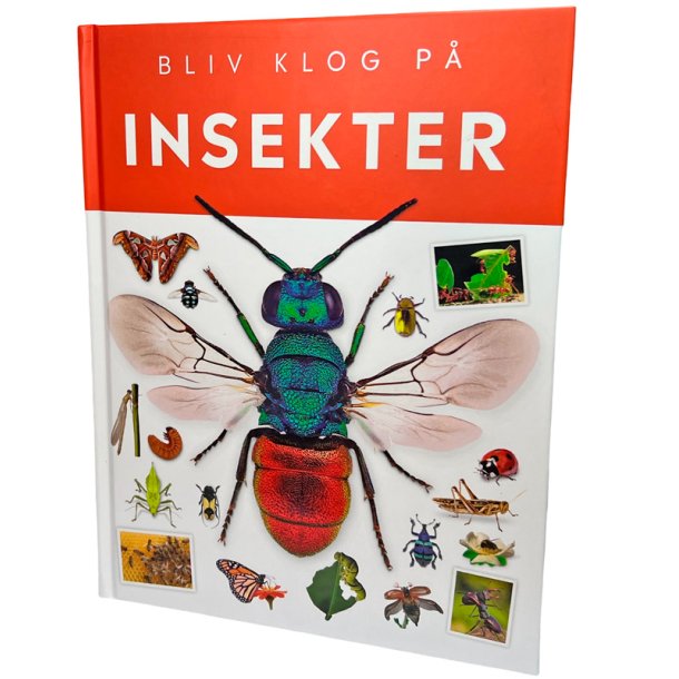 Bliv klog p insekter