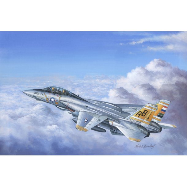 Hobby Boss F-14A Tomcat 1:48 modellflygplan