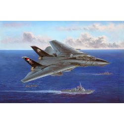 Hobby Boss F-14B Tomcat 1:48 modelfly