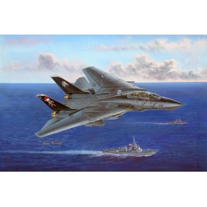 Hobby Boss F-14B Tomcat 1:48 modelfly
