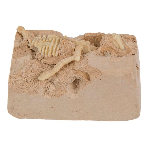 Dinosaur udgravnings st