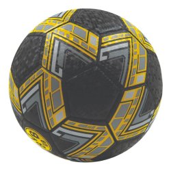 FC Borussia Dortmund fodbold str. 5