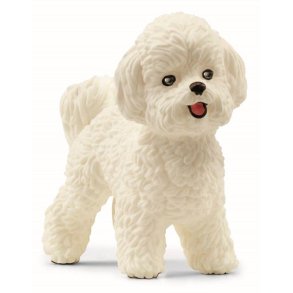 Schleich - Bichon Fris