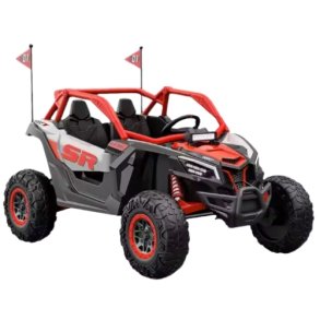 Elektrisk Brne UTV Offroad Buggy Rd