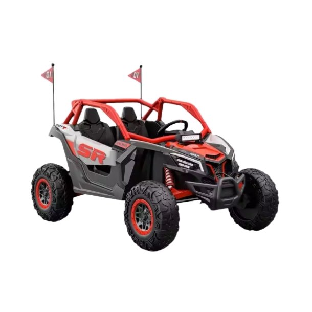 Elektrisk Brne UTV Offroad Buggy Rd