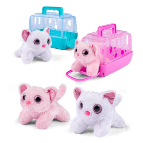 Kat i transportkasse