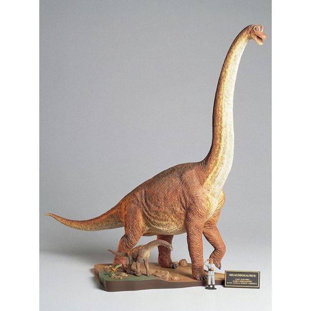 Tamiya Brachiosaurus Diorama s�t