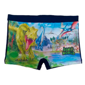 Dino World badshorts