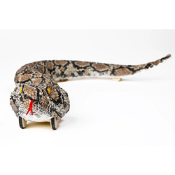 Rattler R/C 2,4GHz med lys og simuleret lyd - 65 cm