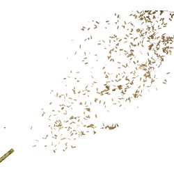 Konfettirr med guldstrimler