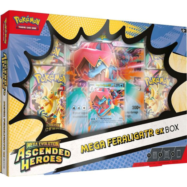 Pokemon Mega Feraligatr ex box Ascended Heroes