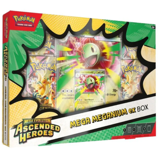 Pokemon Mega Meganium ex box Ascended Heroes