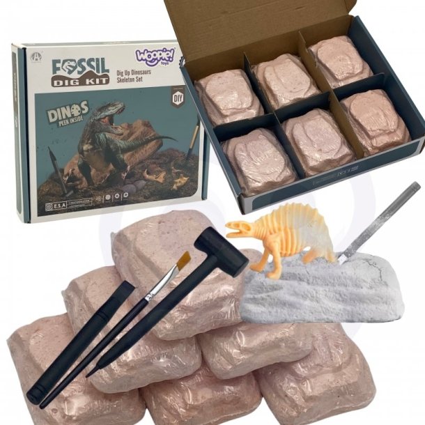 WOOPIE Dinosaurudgravning  6 Skeletfigurer (6 r+)