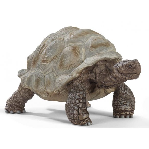 schleich - Jtteskldpadda