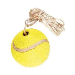 Bold til stangtennis