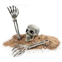 Skelethoved og knogler