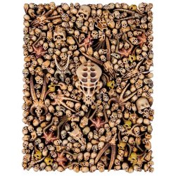 Citadel Skulls - 340 stk.