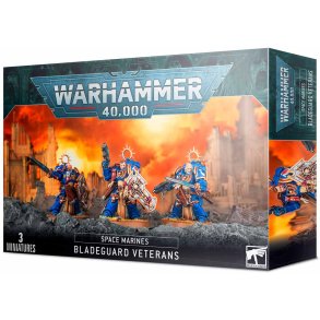 Space Marines Bladeguard veterans