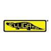 Alligator Books